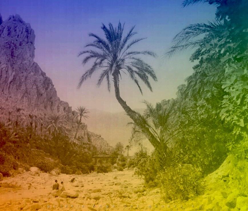 OASIS ET LE M ZAB 00014 EL KANTARA DANS LES GORGES LA PALMERAIE.jpg